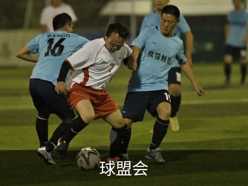 球盟会概况